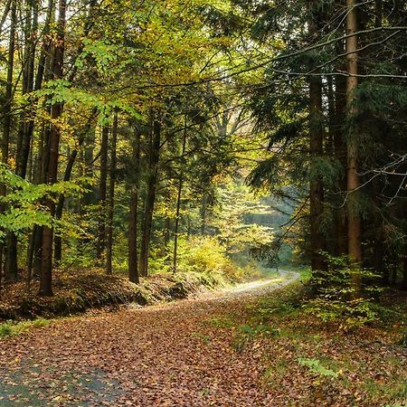Weinberghaus Prossen Vila Bad Schandau Exterior foto