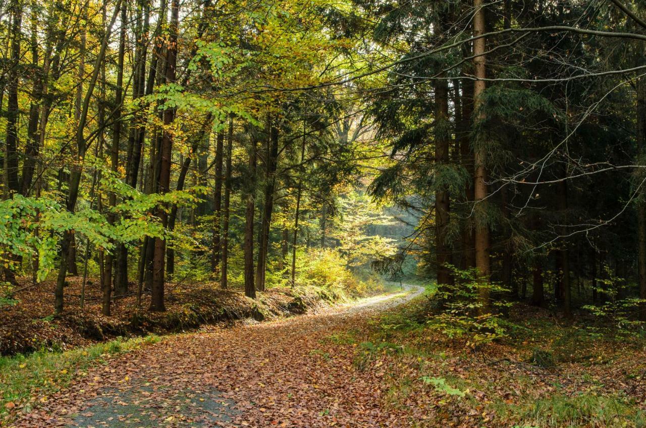 Weinberghaus Prossen Vila Bad Schandau Exterior foto